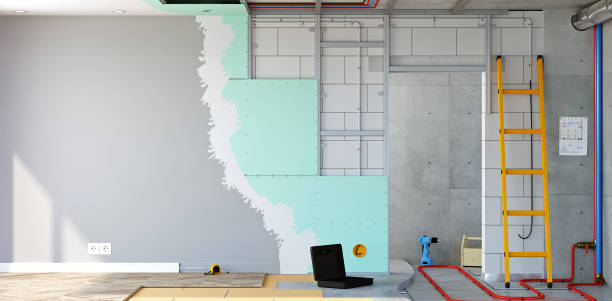 Best Attic Mold Removal  in Chinook, MT