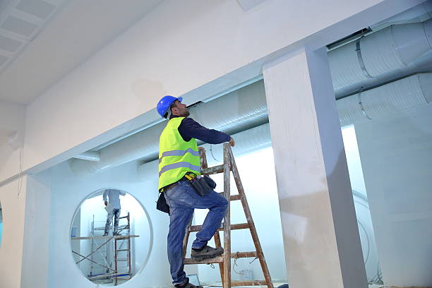 Best Post-Construction Mold Inspection  in Chinook, MT